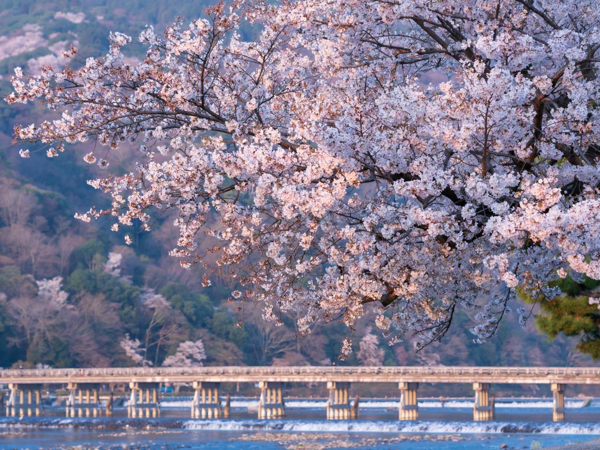 The Blossom Kyōto Exterior foto
